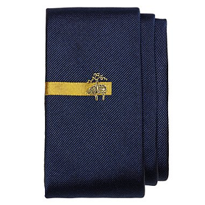 Golden Fleece Tie Bar Print Slim Tie - Navy